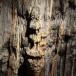 The Biointernet Meeting, Hungary, 2017