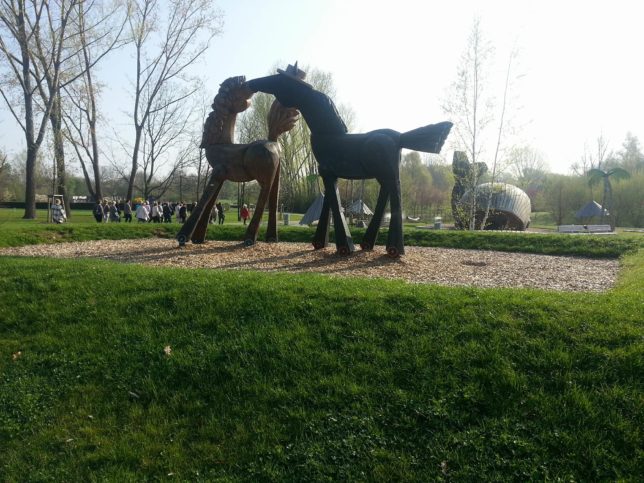 Flower's Expedition 2018