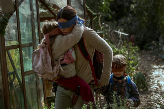 Bird Box Challenge