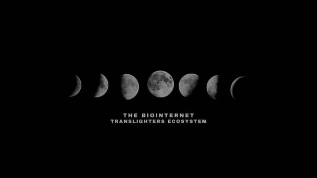 Translighters Ecosystem International